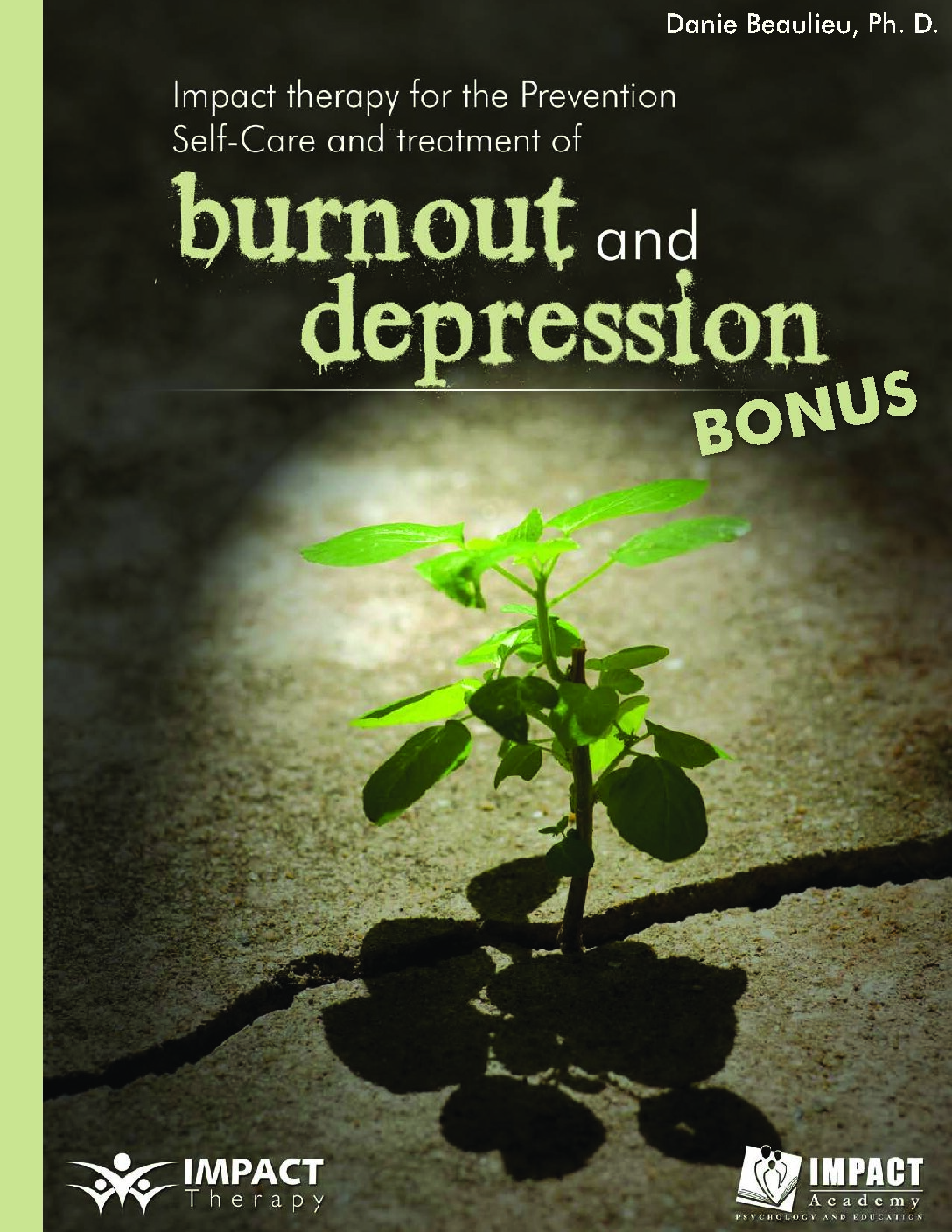 Burnout and depression BONUS