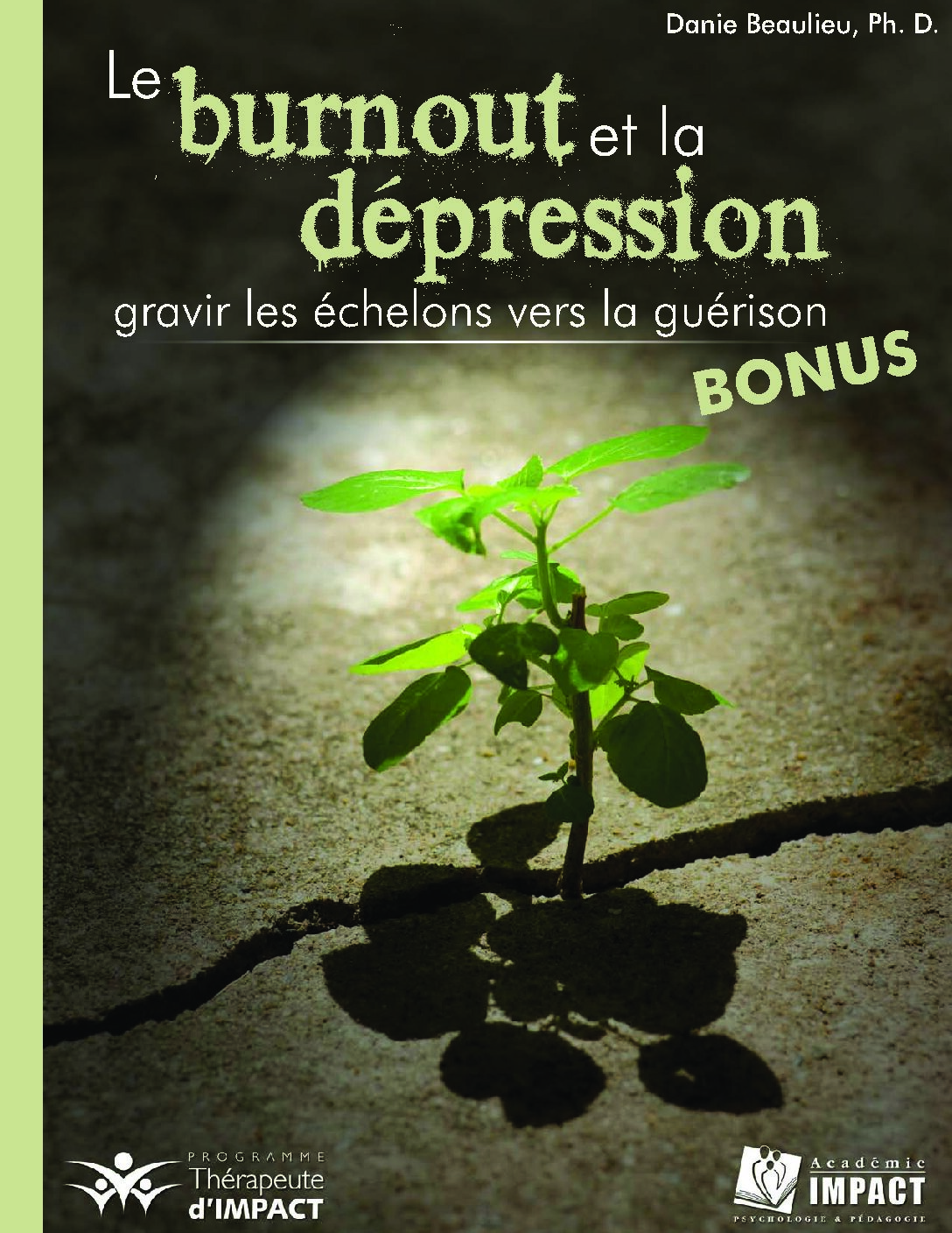Le burnout et la dépression BONUS