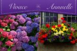 Vivace ou annuelle